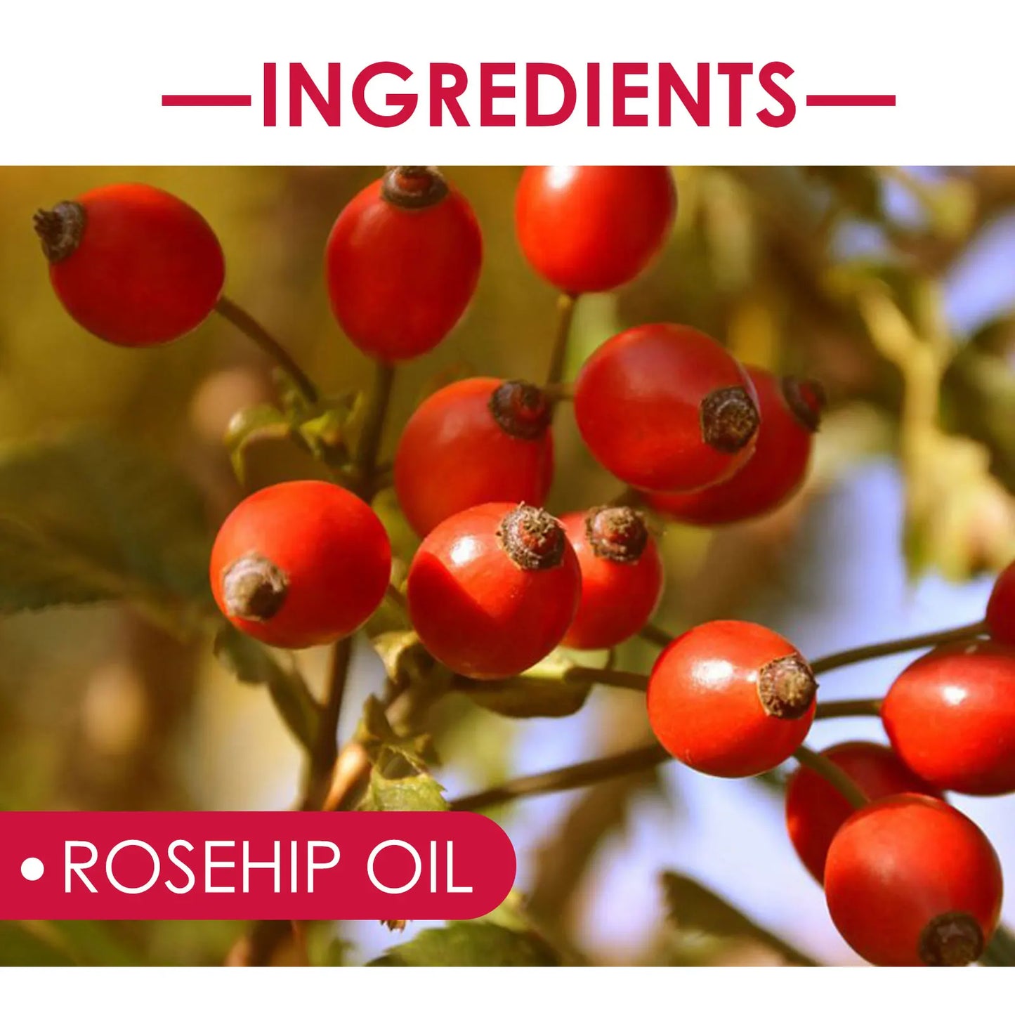EELHOE Rosehip Facial Essential Oil Fade Fine Line Lifting Firming Repair Smooth Moisturizing Whitening Nourishing Skincare Oil